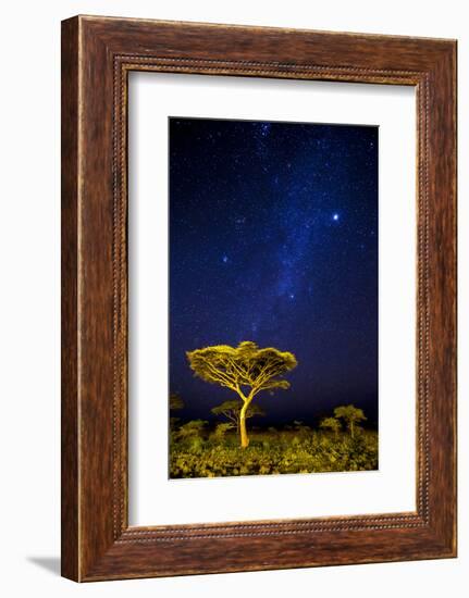 Africa. Tanzania. The Milky Way illuminate the night sky at Ndutu in Serengeti National Park.-Ralph H. Bendjebar-Framed Photographic Print