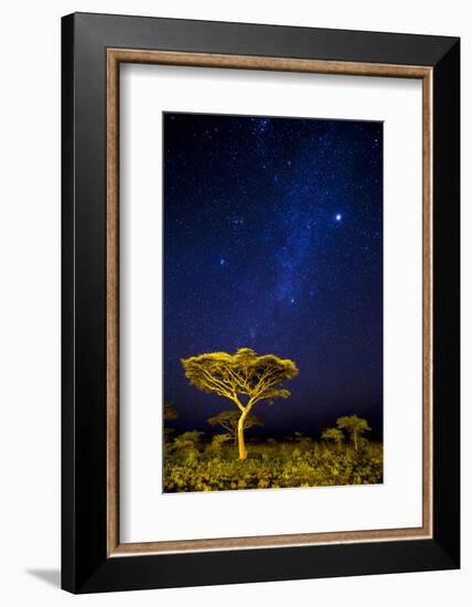 Africa. Tanzania. The Milky Way illuminate the night sky at Ndutu in Serengeti National Park.-Ralph H. Bendjebar-Framed Photographic Print