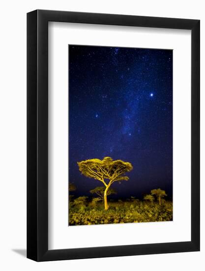 Africa. Tanzania. The Milky Way illuminate the night sky at Ndutu in Serengeti National Park.-Ralph H. Bendjebar-Framed Photographic Print