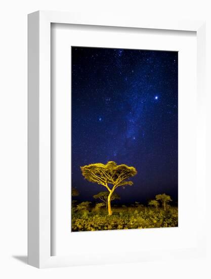 Africa. Tanzania. The Milky Way illuminate the night sky at Ndutu in Serengeti National Park.-Ralph H. Bendjebar-Framed Photographic Print