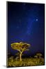 Africa. Tanzania. The Milky Way illuminate the night sky at Ndutu in Serengeti National Park.-Ralph H. Bendjebar-Mounted Photographic Print