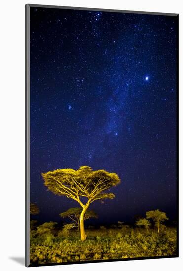Africa. Tanzania. The Milky Way illuminate the night sky at Ndutu in Serengeti National Park.-Ralph H. Bendjebar-Mounted Photographic Print