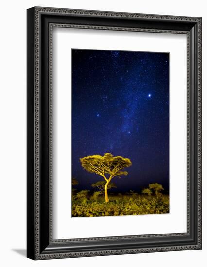 Africa. Tanzania. The Milky Way illuminate the night sky at Ndutu in Serengeti National Park.-Ralph H. Bendjebar-Framed Photographic Print