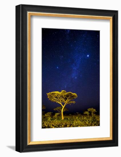 Africa. Tanzania. The Milky Way illuminate the night sky at Ndutu in Serengeti National Park.-Ralph H. Bendjebar-Framed Photographic Print