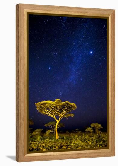 Africa. Tanzania. The Milky Way illuminate the night sky at Ndutu in Serengeti National Park.-Ralph H. Bendjebar-Framed Premier Image Canvas