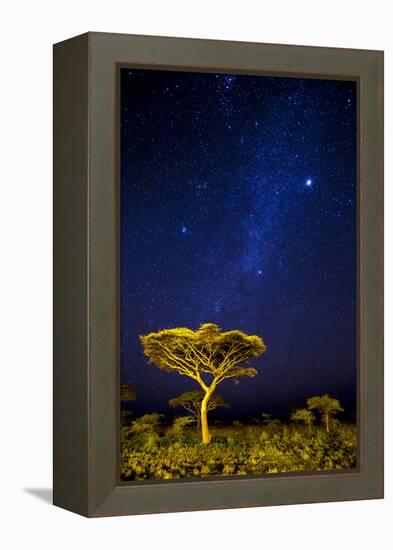 Africa. Tanzania. The Milky Way illuminate the night sky at Ndutu in Serengeti National Park.-Ralph H. Bendjebar-Framed Premier Image Canvas