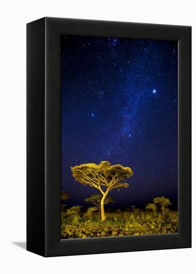 Africa. Tanzania. The Milky Way illuminate the night sky at Ndutu in Serengeti National Park.-Ralph H. Bendjebar-Framed Premier Image Canvas