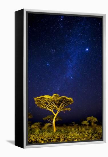 Africa. Tanzania. The Milky Way illuminate the night sky at Ndutu in Serengeti National Park.-Ralph H. Bendjebar-Framed Premier Image Canvas