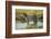 Africa, Tanzania, zebra-Lee Klopfer-Framed Photographic Print