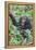 Africa, Uganda, Kibale Forest National Park. Chimpanzee vocalizing in forest.-Emily Wilson-Framed Premier Image Canvas