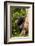 Africa, Uganda, Kibale National Park. A female chimpanzee eats dead wood.-Kristin Mosher-Framed Photographic Print