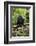 Africa, Uganda, Kibale National Park. A juvenile chimp sits on a branch over a stream.-Kristin Mosher-Framed Photographic Print