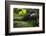 Africa, Uganda, Kibale National Park. A male chimpanzee lounges on a fallen log.-Kristin Mosher-Framed Photographic Print