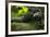 Africa, Uganda, Kibale National Park. A male chimpanzee lounges on a fallen log.-Kristin Mosher-Framed Premium Photographic Print