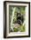 Africa, Uganda, Kibale National Park. A playful and curious infant chimpanzee.-Kristin Mosher-Framed Photographic Print