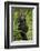 Africa, Uganda, Kibale National Park. A young adult chimpanzee listens.-Kristin Mosher-Framed Photographic Print