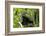 Africa, Uganda, Kibale National Park. An adolescent male chimpanzee.-Kristin Mosher-Framed Photographic Print