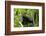 Africa, Uganda, Kibale National Park. An adolescent male chimpanzee.-Kristin Mosher-Framed Photographic Print