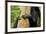 Africa, Uganda, Kibale National Park. Hands of a female chimpanzee and her offspring.-Kristin Mosher-Framed Premium Photographic Print