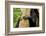 Africa, Uganda, Kibale National Park. Hands of a female chimpanzee and her offspring.-Kristin Mosher-Framed Photographic Print