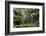 Africa, Uganda, Kibale National Park. Wild chimpanzee yawns while resting with others.-Kristin Mosher-Framed Photographic Print