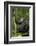 Africa, Uganda, Kibale National Park. Young chimpanzee listening.-Kristin Mosher-Framed Photographic Print