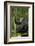 Africa, Uganda, Kibale National Park. Young chimpanzee listening.-Kristin Mosher-Framed Photographic Print