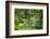 Africa, Uganda, Kibale National Park. Young juvenile chimpanzee sits yawning.-Kristin Mosher-Framed Photographic Print