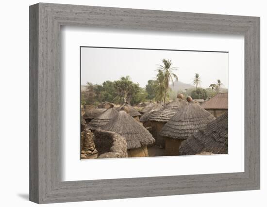 Africa, West Africa, Benin, Beri. Thatched rooves of traditional dwellings in front of palm trees.-Alida Latham-Framed Photographic Print