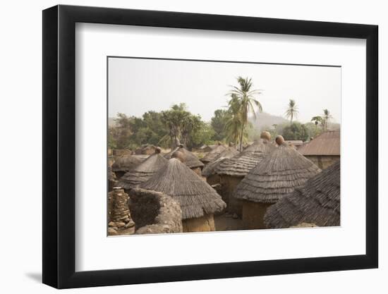 Africa, West Africa, Benin, Beri. Thatched rooves of traditional dwellings in front of palm trees.-Alida Latham-Framed Photographic Print