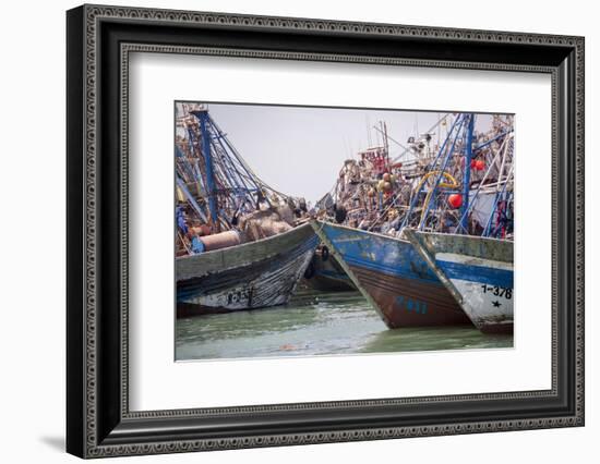 Africa, Western Sahara, Dakhla. Group of Rusting and Aged Fishing Boats-Alida Latham-Framed Photographic Print