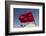 Africa, Western Sahara, Dakhla. the Flag of Morocco Blowing in the Wind-Alida Latham-Framed Photographic Print