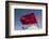 Africa, Western Sahara, Dakhla. the Flag of Morocco Blowing in the Wind-Alida Latham-Framed Photographic Print