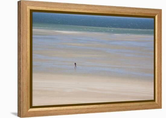 Africa, Western Sahara, Dakhla. Trist Walking Along the Beach of the Atlantic-Alida Latham-Framed Premier Image Canvas