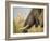 Africa, Zambia. Close-Up of Elephant Eating-Jaynes Gallery-Framed Photographic Print