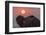 Africa, Zambia. Close-Up of Elephant Rear at Sunset-Jaynes Gallery-Framed Photographic Print