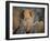 Africa, Zambia. Elephant Adults and Young-Jaynes Gallery-Framed Photographic Print