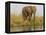 Africa, Zambia. Elephant Next to Zambezi River-Jaynes Gallery-Framed Premier Image Canvas