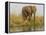 Africa, Zambia. Elephant Next to Zambezi River-Jaynes Gallery-Framed Premier Image Canvas