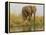 Africa, Zambia. Elephant Next to Zambezi River-Jaynes Gallery-Framed Premier Image Canvas