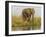 Africa, Zambia. Elephant Next to Zambezi River-Jaynes Gallery-Framed Photographic Print