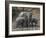 Africa, Zambia. Elephants on Zambezi River Bank-Jaynes Gallery-Framed Photographic Print