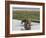 Africa, Zambia. Mother and Young in River-Jaynes Gallery-Framed Photographic Print