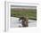 Africa, Zambia. Mother and Young in River-Jaynes Gallery-Framed Photographic Print