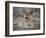 Africa, Zambia. Portrait of Lion Cub-Jaynes Gallery-Framed Photographic Print