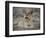 Africa, Zambia. Portrait of Lion Cub-Jaynes Gallery-Framed Photographic Print