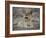 Africa, Zambia. Portrait of Lion Cub-Jaynes Gallery-Framed Photographic Print