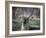 Africa, Zambia. Portrait of Waterbuck-Jaynes Gallery-Framed Photographic Print