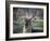 Africa, Zambia. Portrait of Waterbuck-Jaynes Gallery-Framed Photographic Print