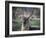 Africa, Zambia. Portrait of Waterbuck-Jaynes Gallery-Framed Photographic Print